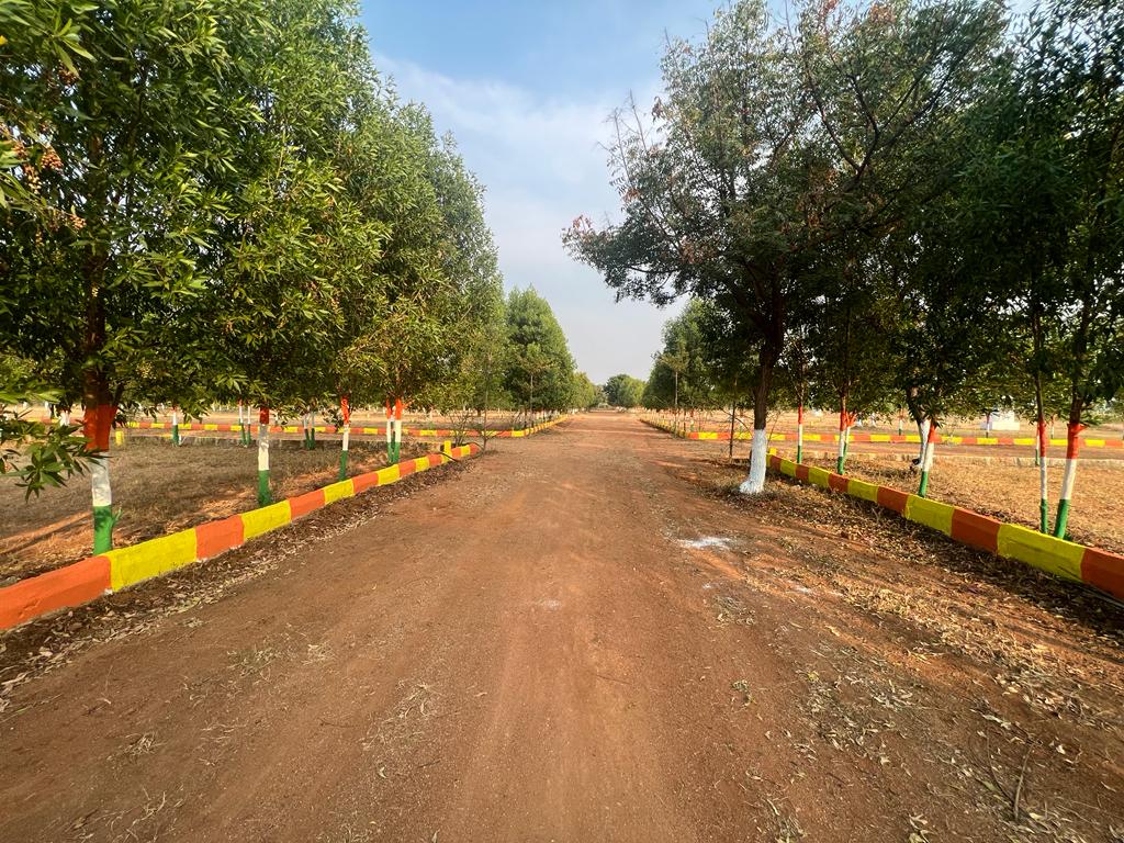 OPEN PLOT FOR SALE AT DIL